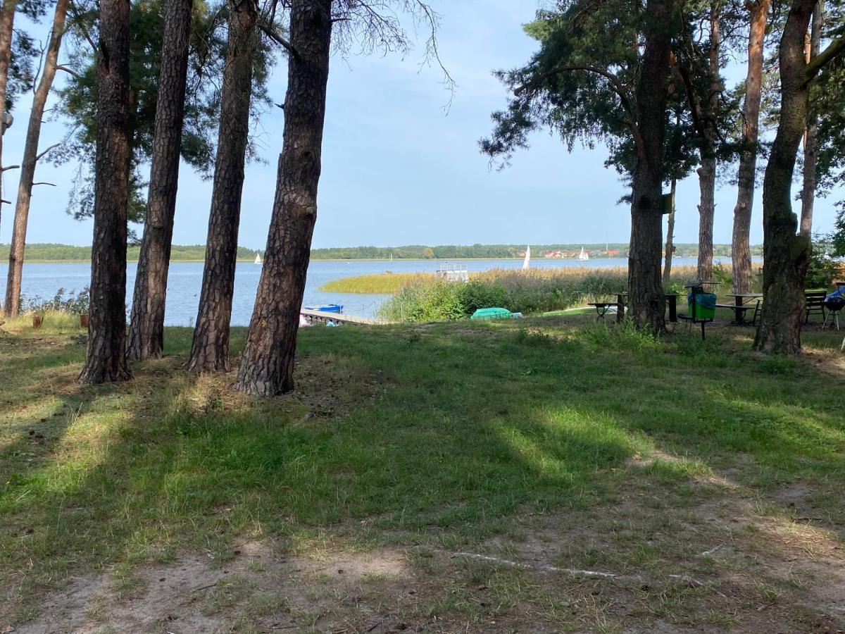 Apartament Wiewiorka Radzyń 외부 사진